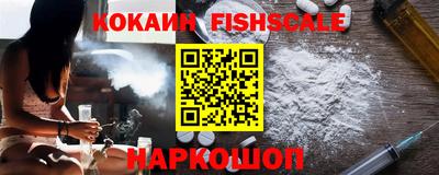 эйфоретик Кингисепп