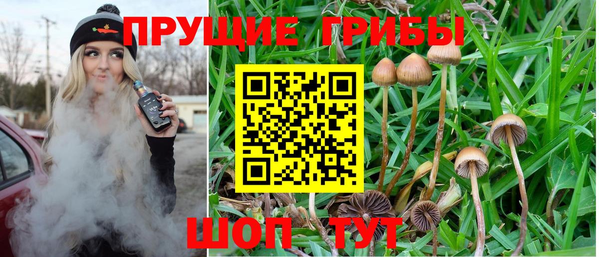Галлюциногенные грибы MAGIC MUSHROOMS Когалым